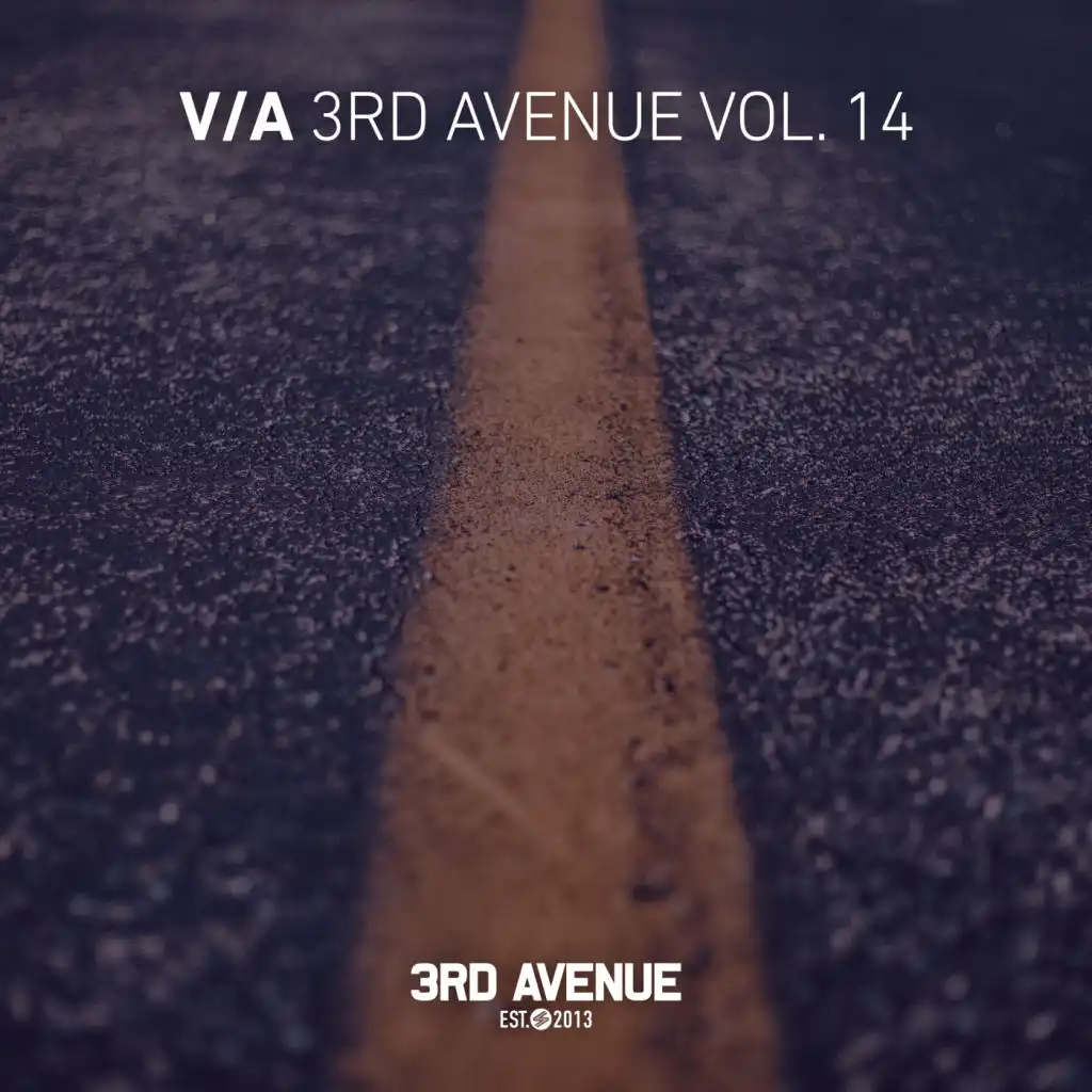 Best of 3rd Avenue, Vol. 14 (feat. Eric Lune)