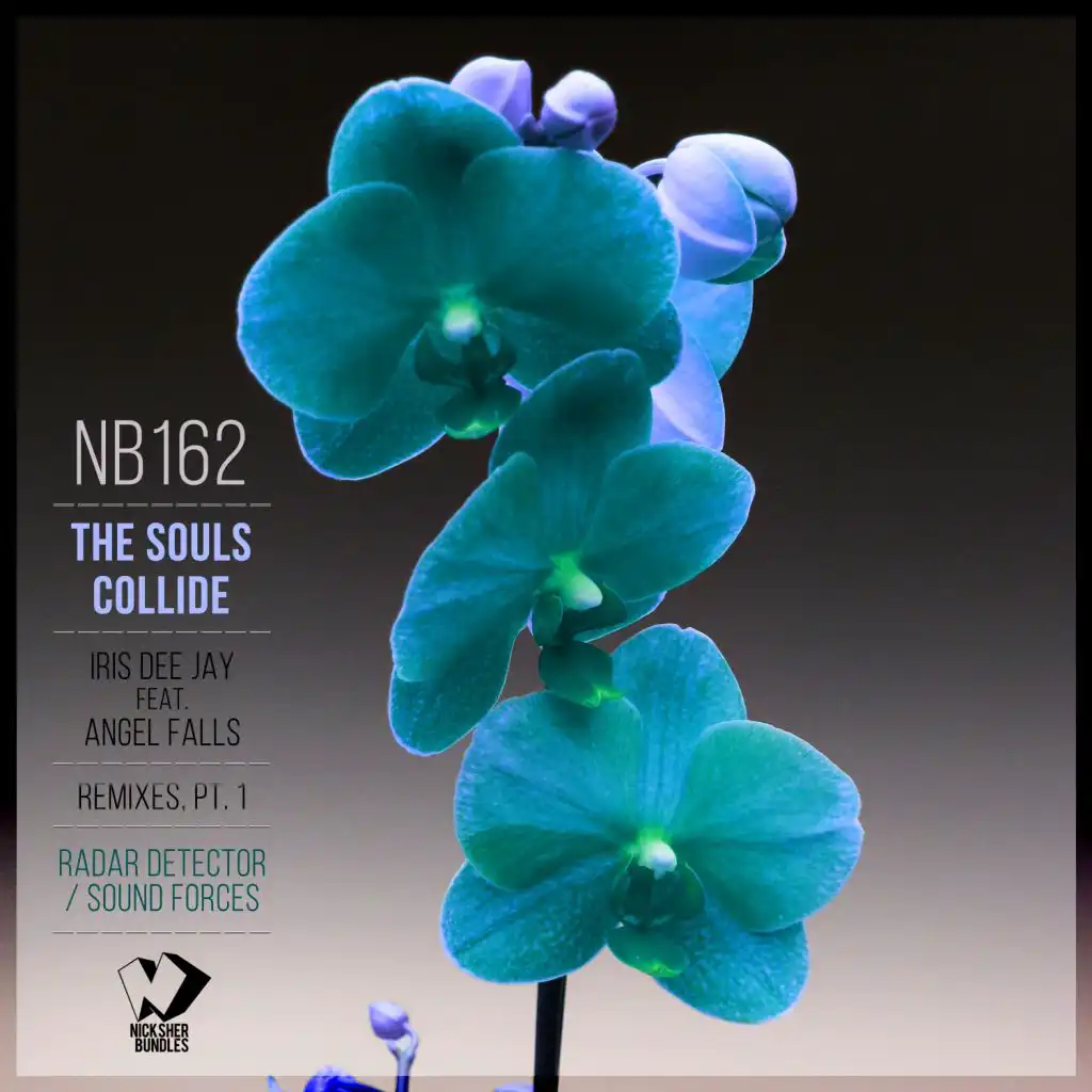 The Souls Collide (Radar Detector Remix) [feat. Angel Falls]