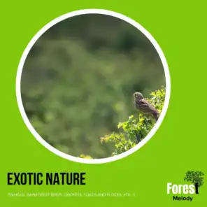 Exotic Nature - Tranquil Rainforest Birds, Crickets, Toads and Flocks, Vol. 3