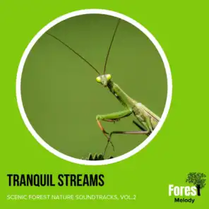 Tranquil Streams - Scenic Forest Nature Soundtracks, Vol.2