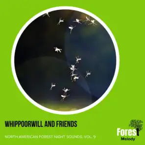 Whippoorwill and Friends - North American Forest Night Sounds, Vol. 9