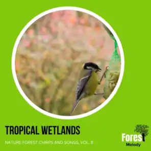Tropical Wetlands - Nature Forest Chirps and Songs, Vol. 8