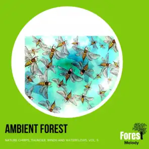Ambient Forest - Nature Chirps, Thunder, Winds and Waterflows, Vol. 5