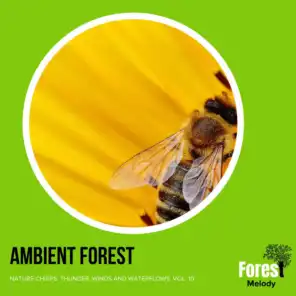 Ambient Forest - Nature Chirps, Thunder, Winds and Waterflows, Vol. 10