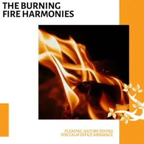The Burning Fire Harmonies - Pleasing Nature Sound for Calm Office Ambiance