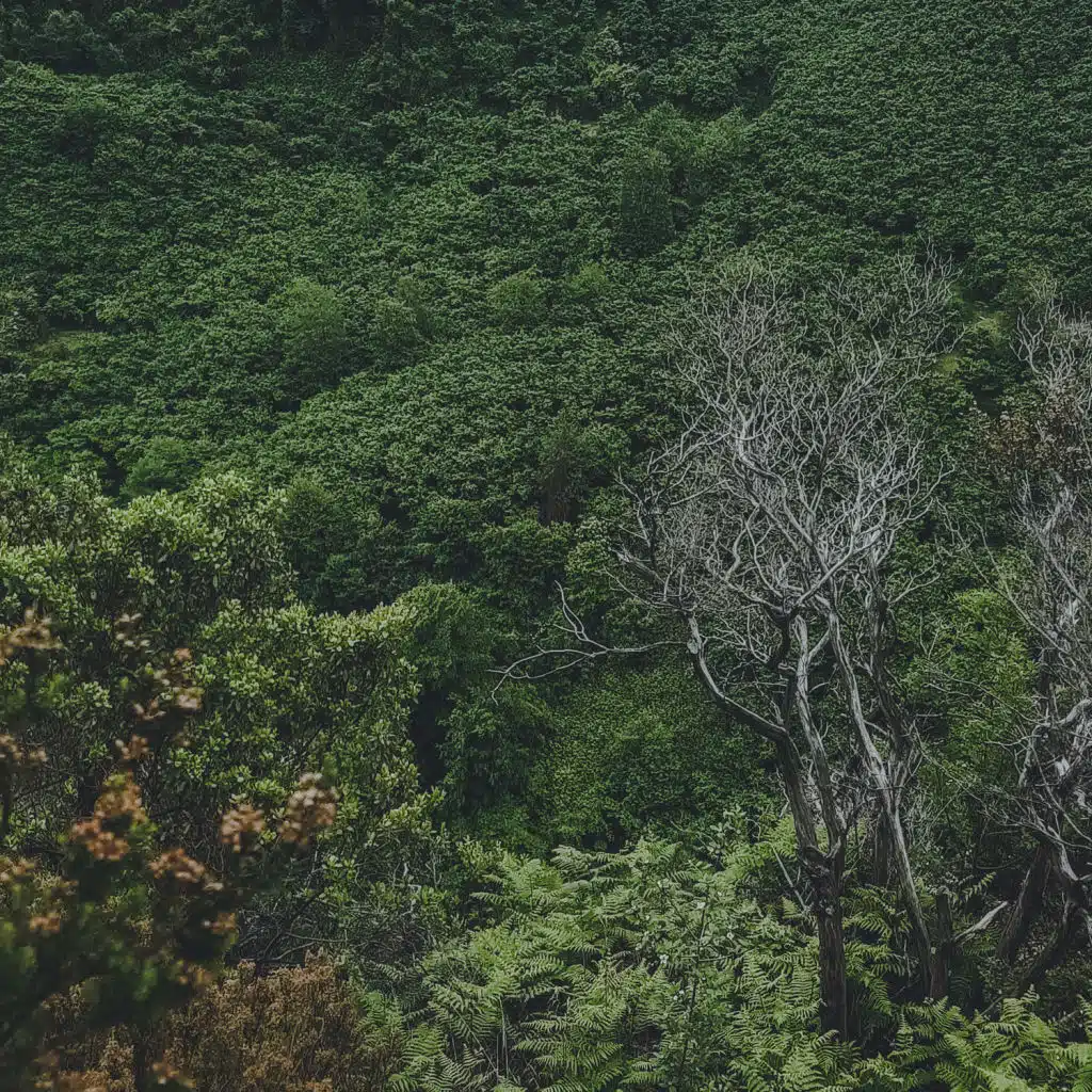 Ahmet Ali Arslan & Berke Can Özcan