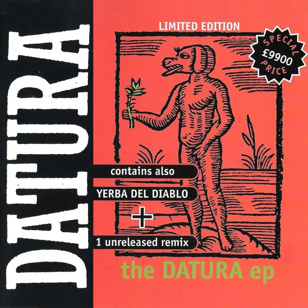 Yerba Del Diablo (Yaqui)