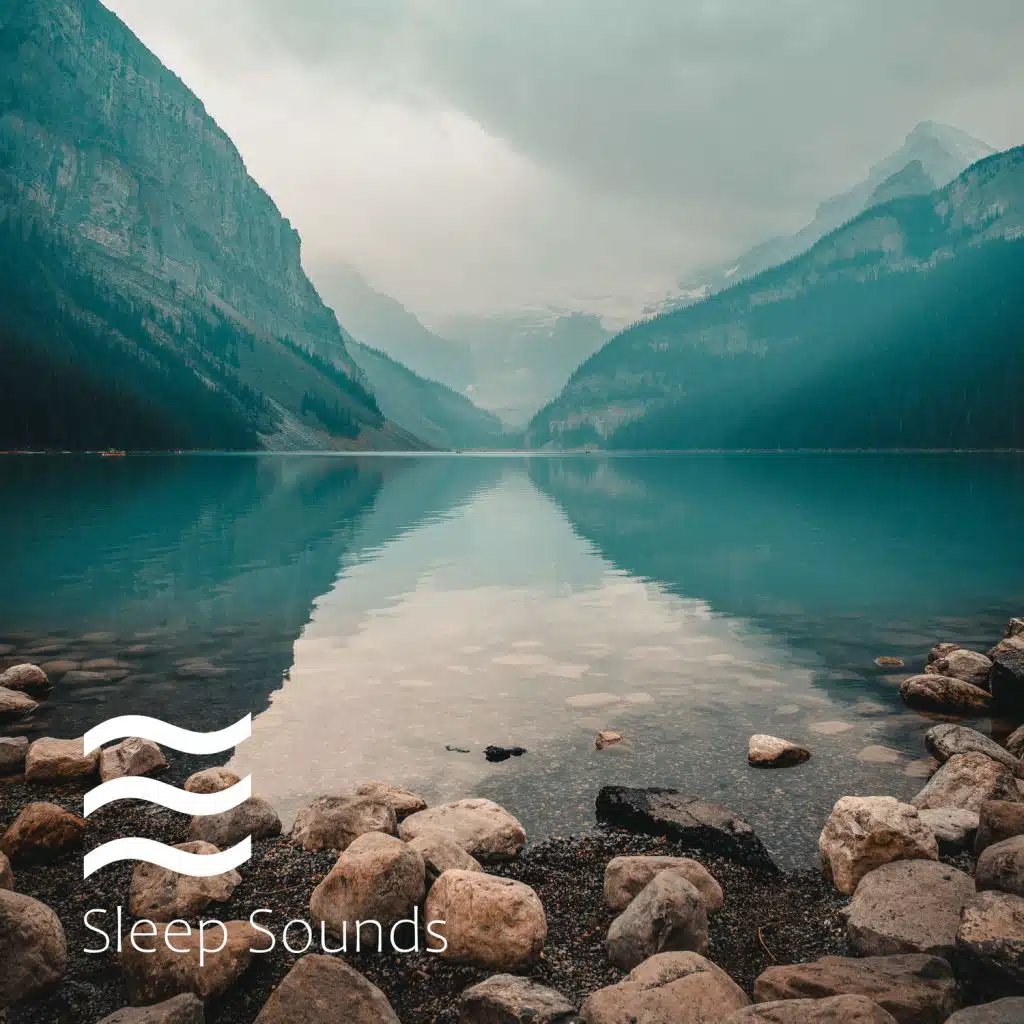 Infants Sleeping Relief Sounds