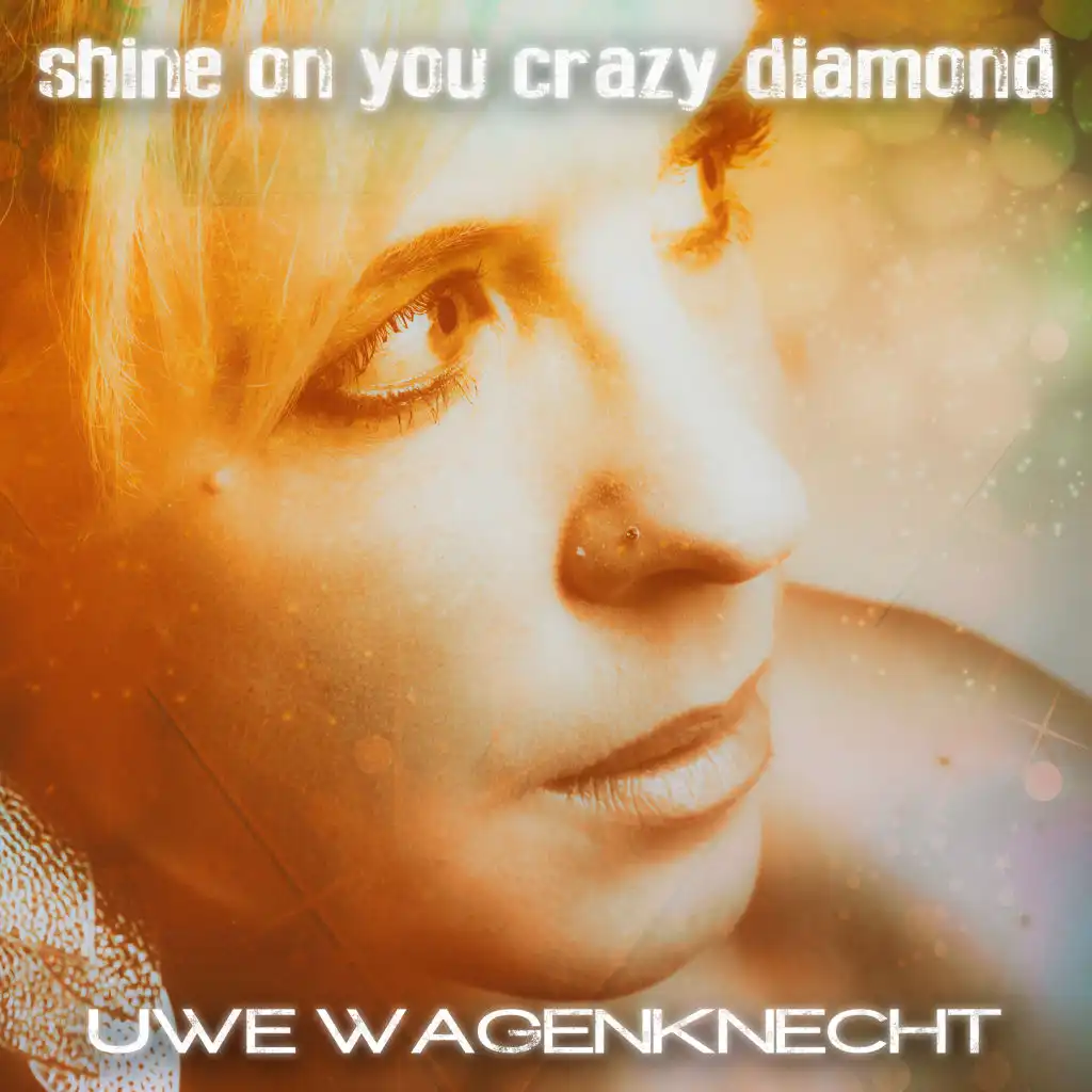 Shine on You Crazy Diamond (DJ Wag Original Mashup Extended)