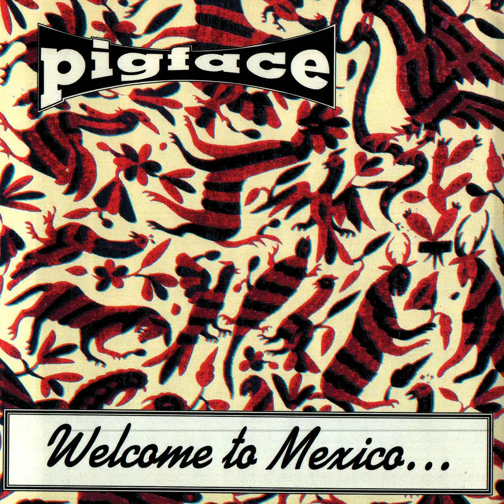 Welcome To Mexico...Asshole