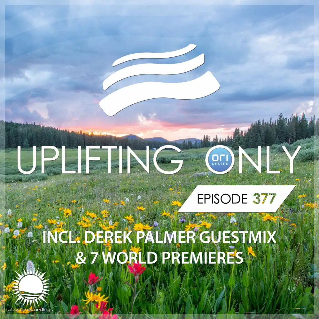 Everything **Exclusive Premiere** [PRE-RELEASE PICK] [UpOnly 377] (Mix Cut) [feat. Danny Claire]