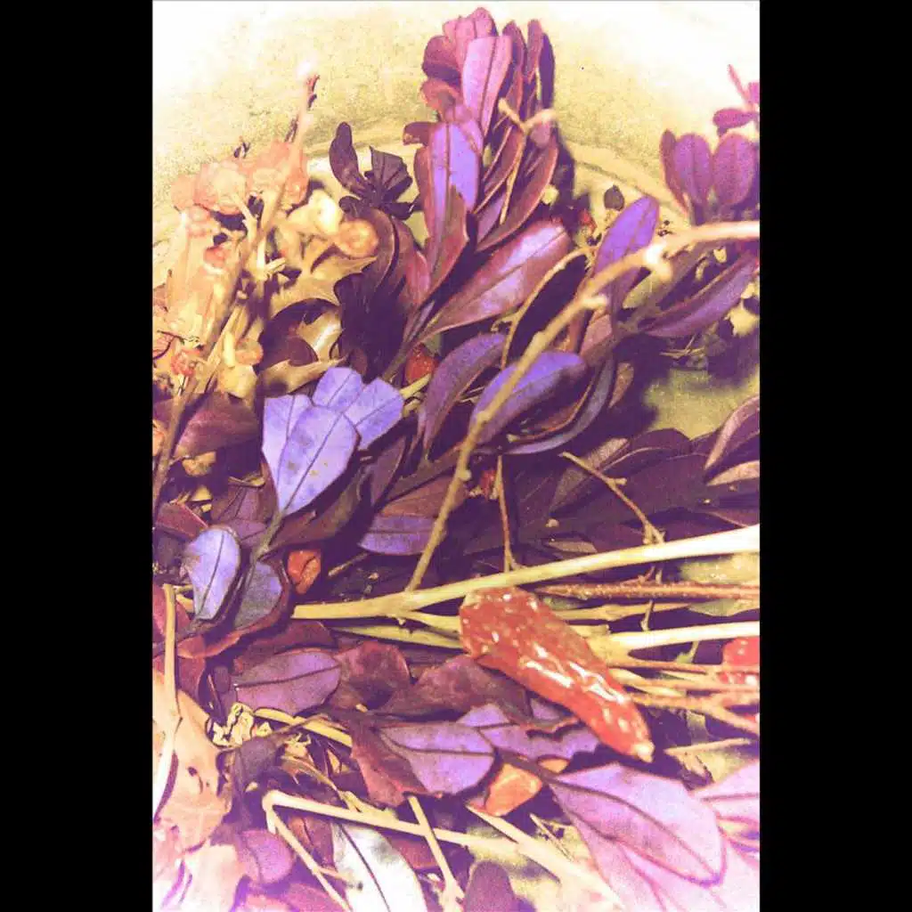 Gone With the Winter