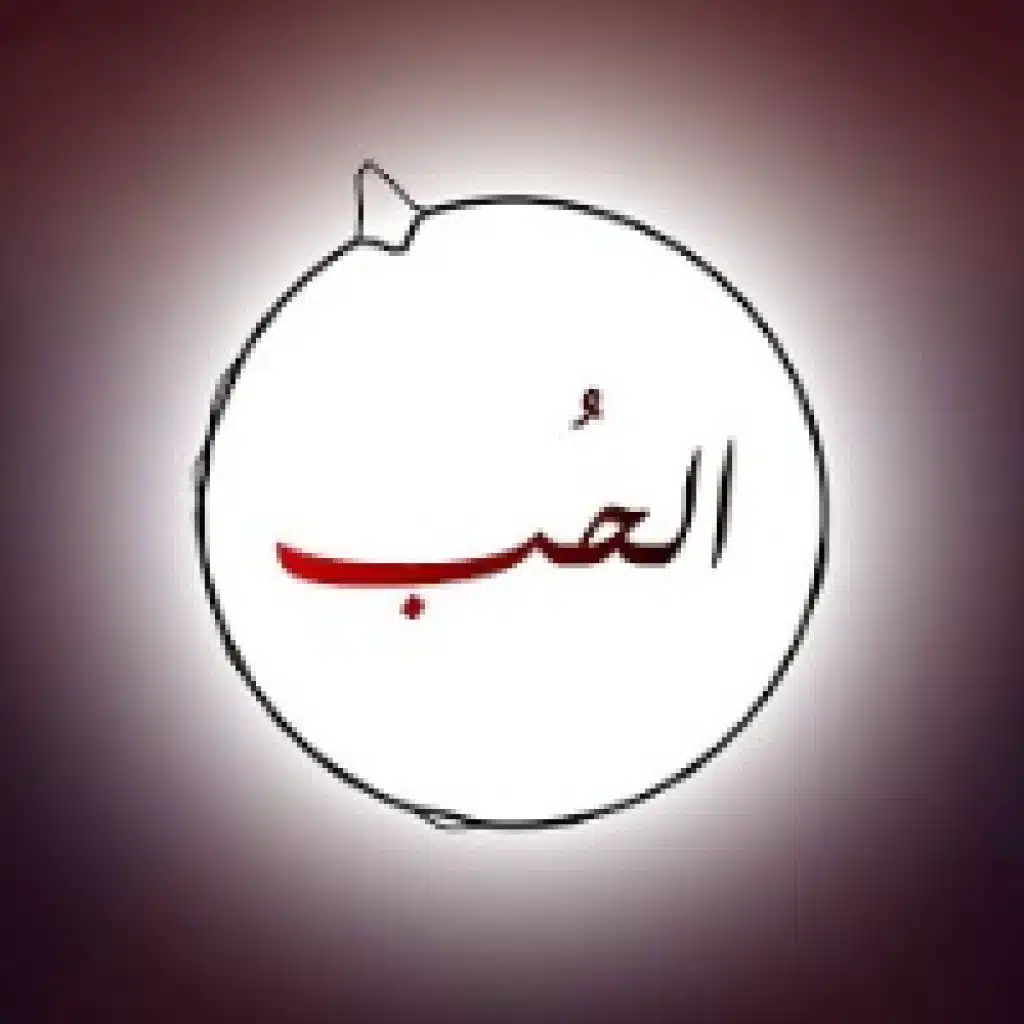 وائل كفوري & شيرين عبد الوهاب - كذابين | ميكس 2020