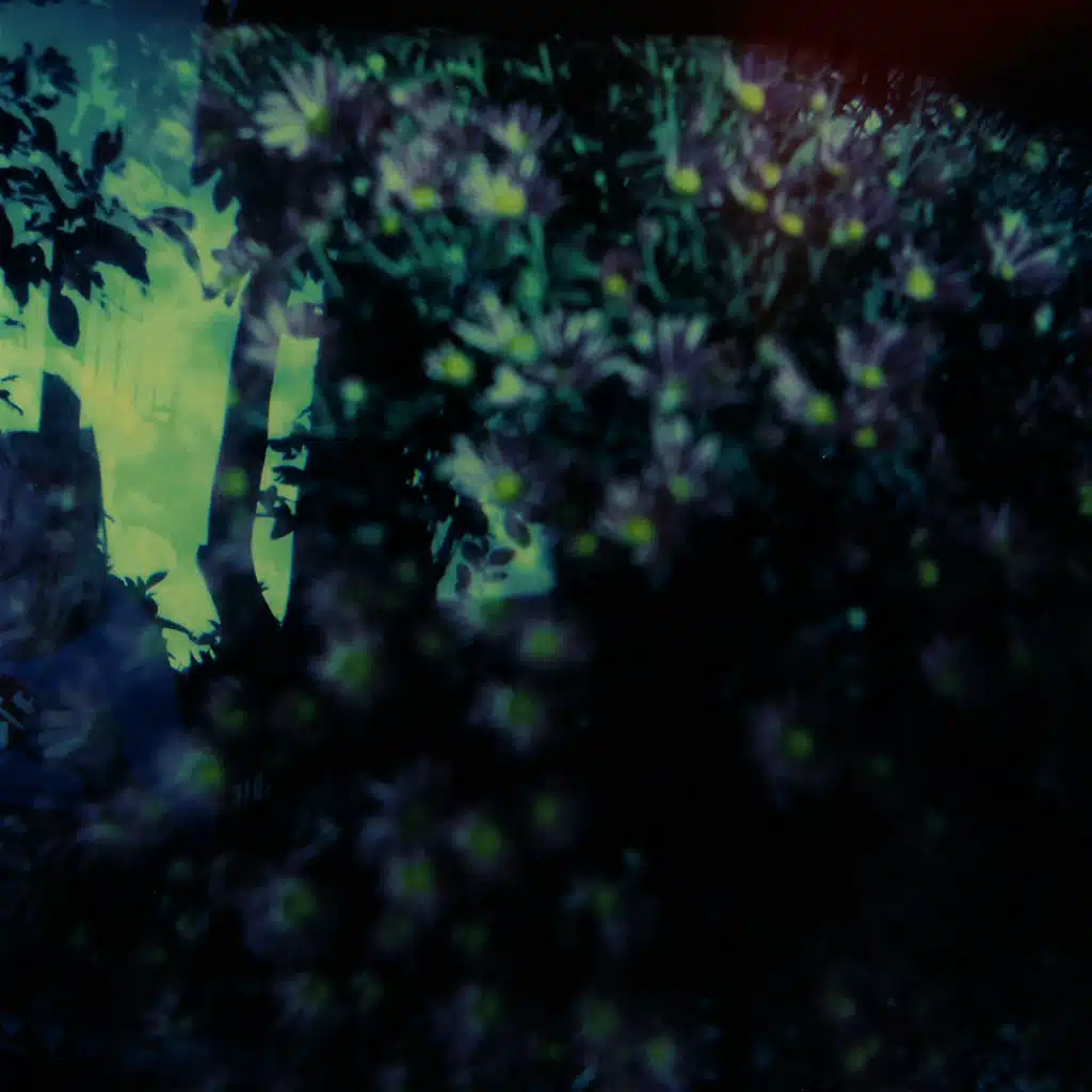 Heads Phased For Dreamless Sleep