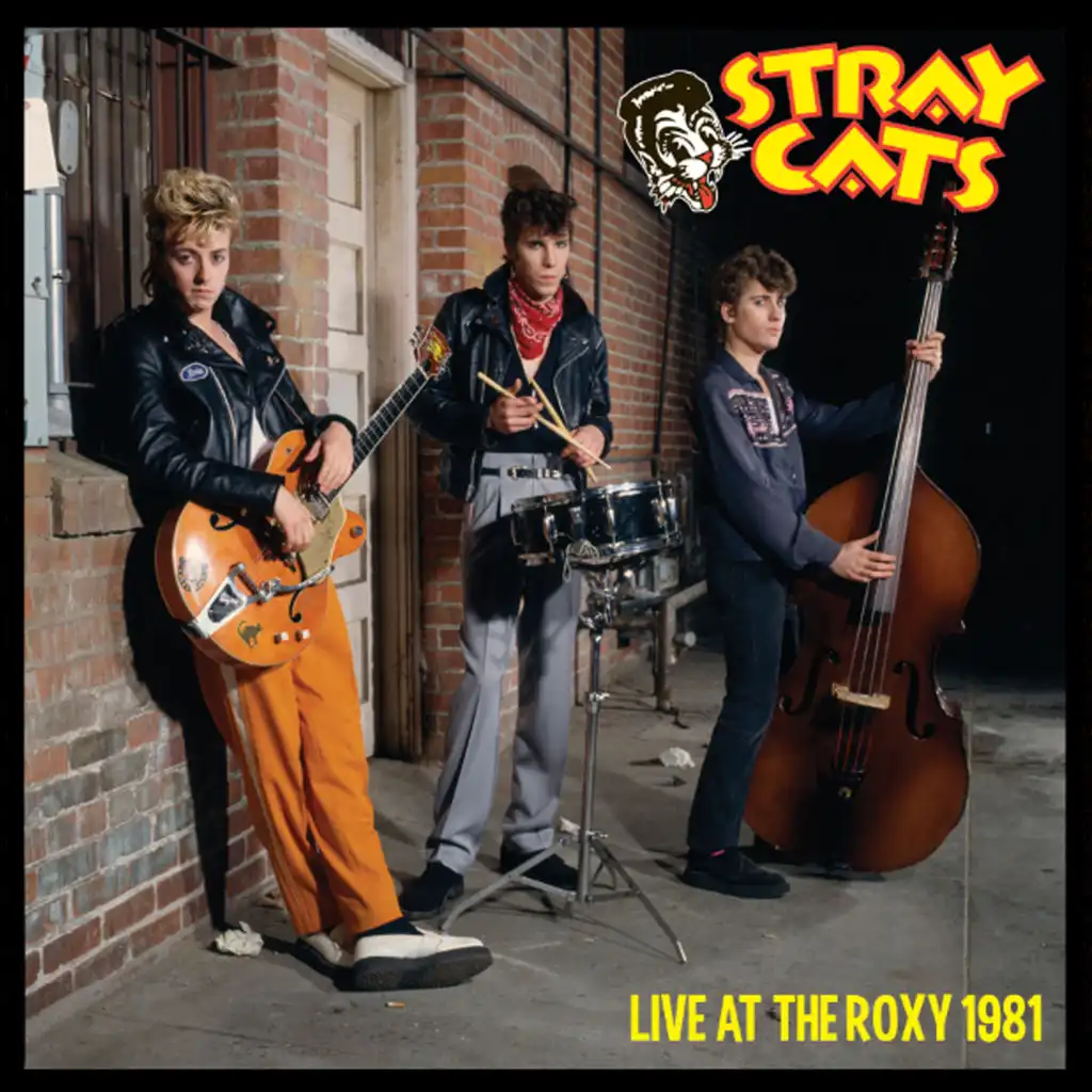 The Stray Cats