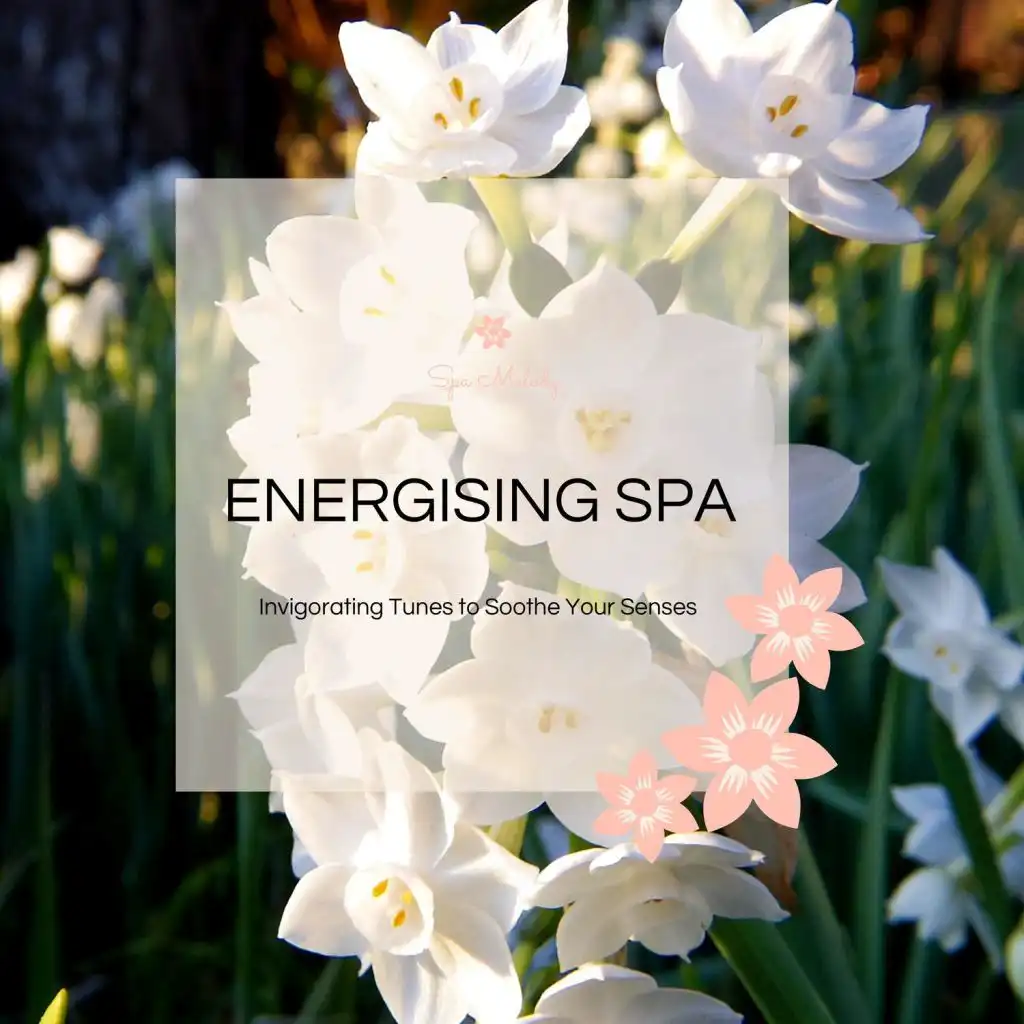 Energising Spa - Invigorating Tunes To Soothe Your Senses