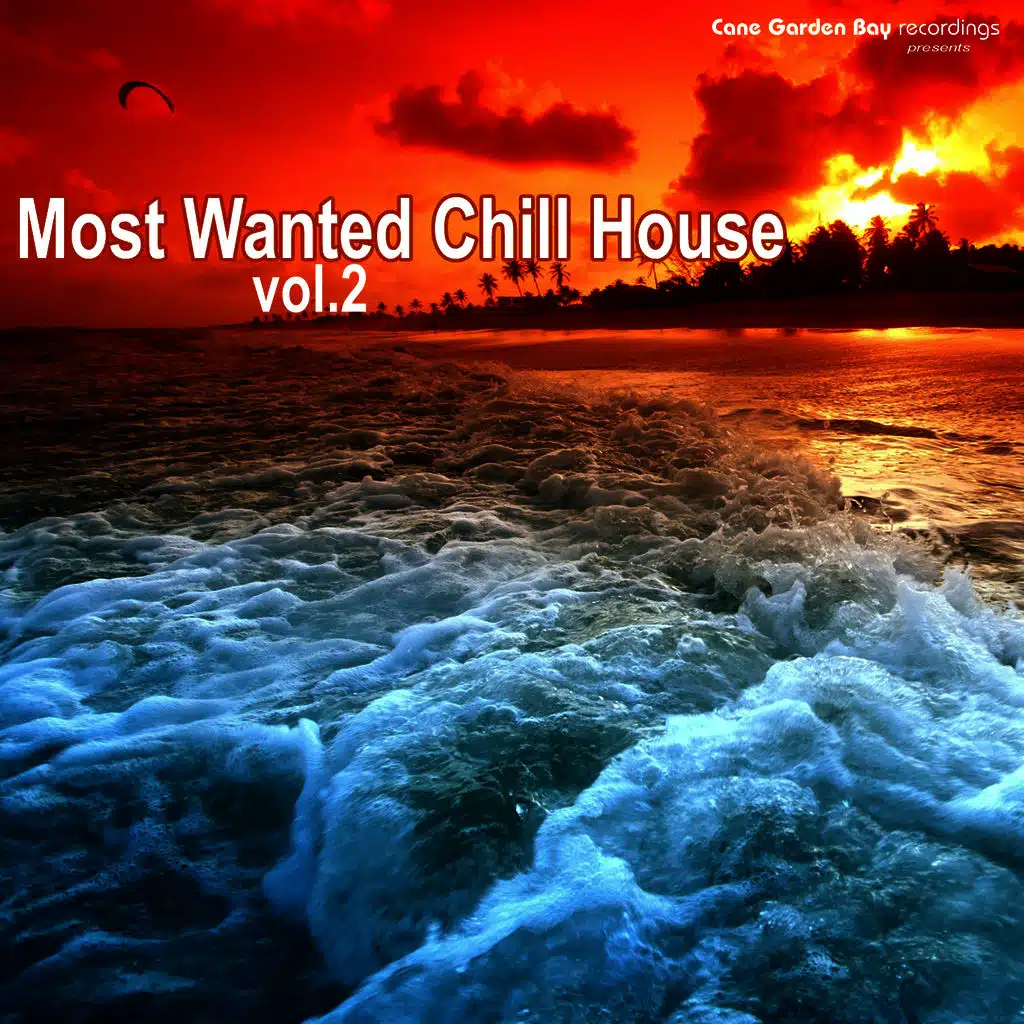 Most Wanted Chill House Vol.2