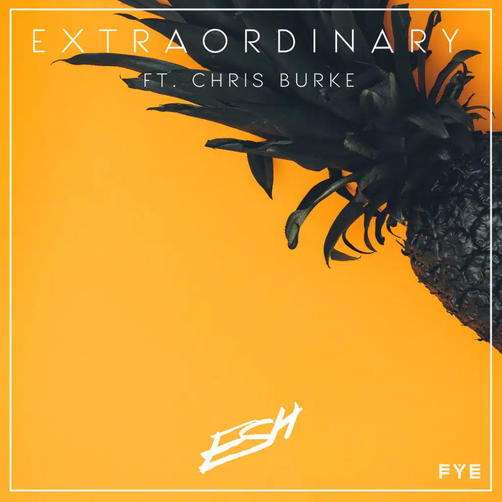 Extraordinary (feat. Chris Burke)