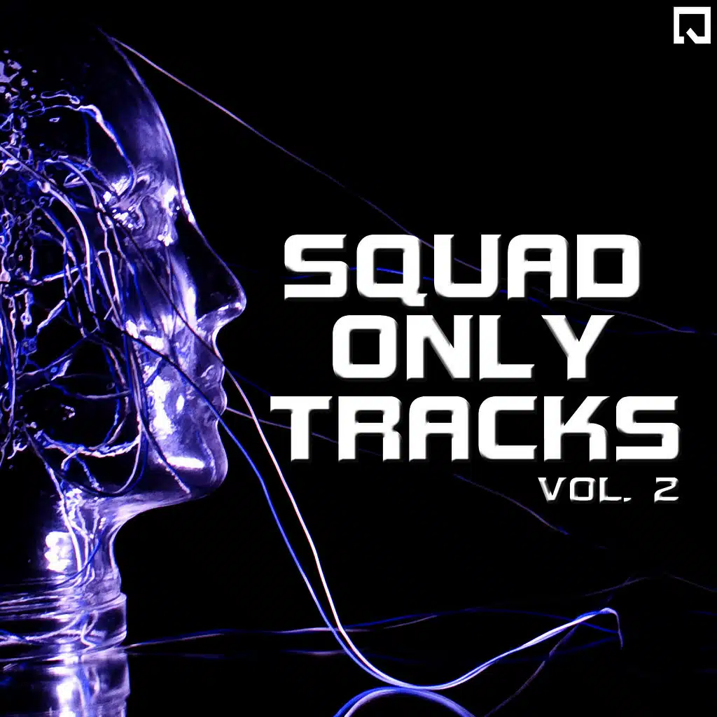 Squad Only Tracks Vol.2