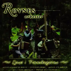 Roynes Orkester