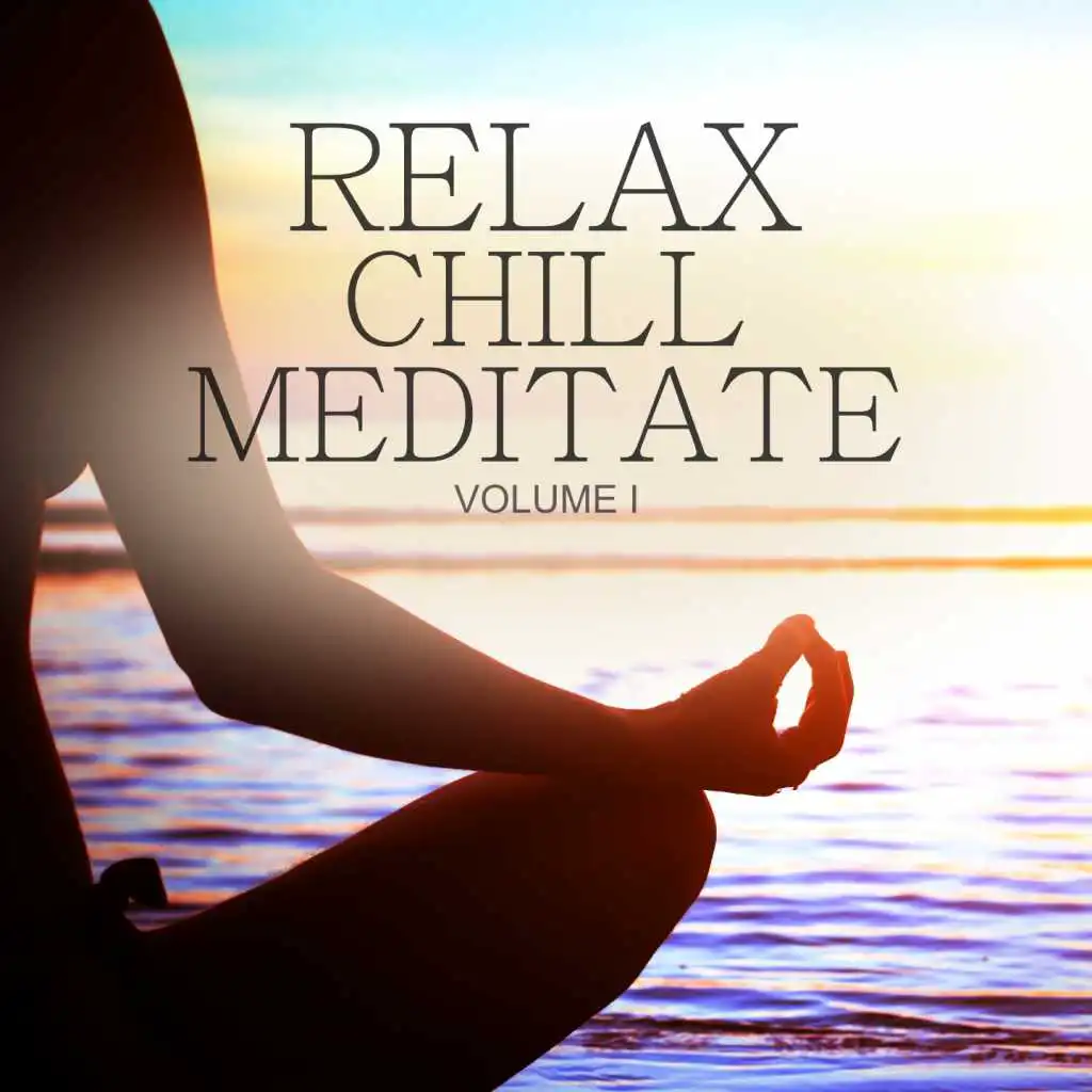 Relax Chill Meditate, Vol. 1 (Best of Smooth Electronic Beats For Relaxation, Wellness And Spa)