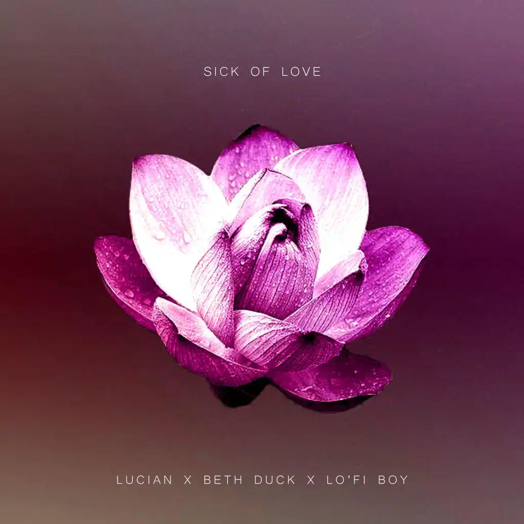 Sick of Love (feat. Beth Duck) (Lo'fi Boy Remix)