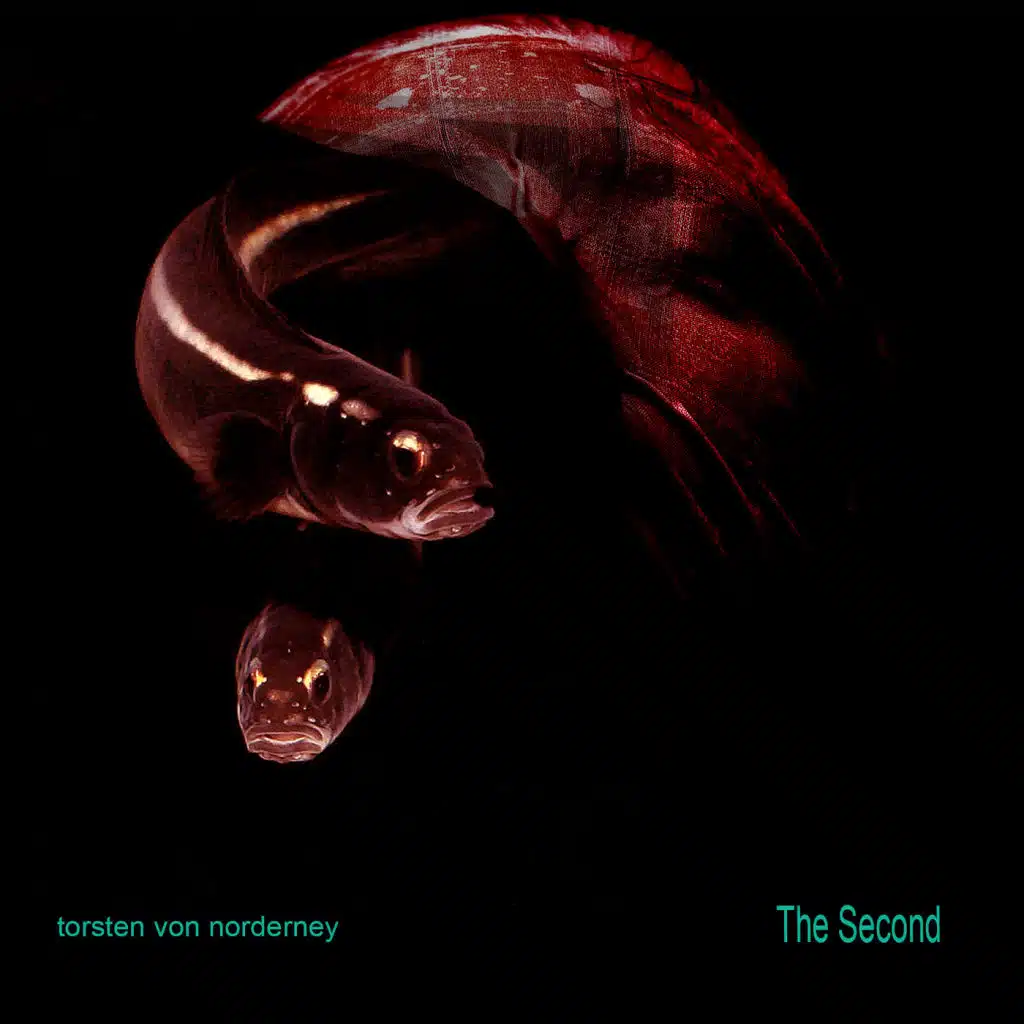 torsten von norderney