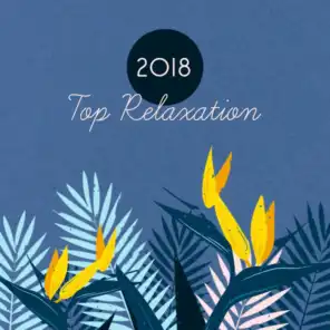 2018 Top Relaxation
