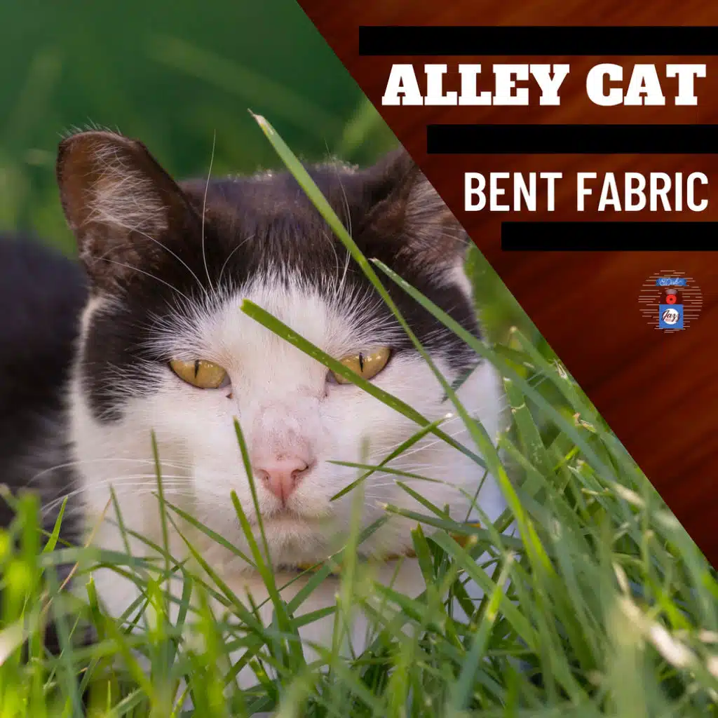 In the Arms of My Love