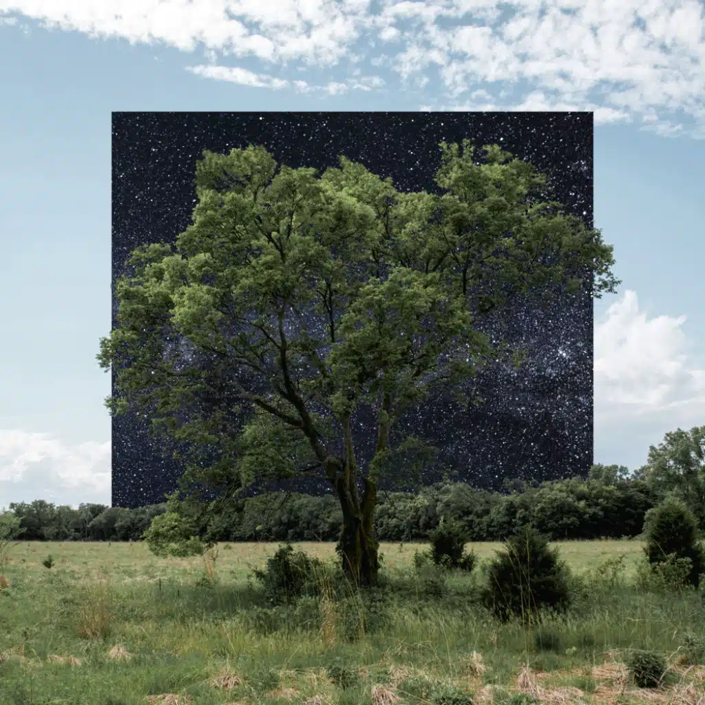 We Watch The Stars (Berlin Session)