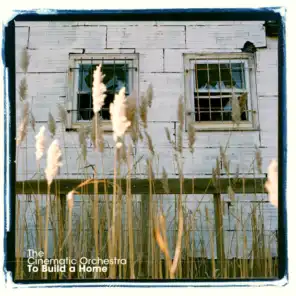 To Build A Home (feat. Patrick Watson)
