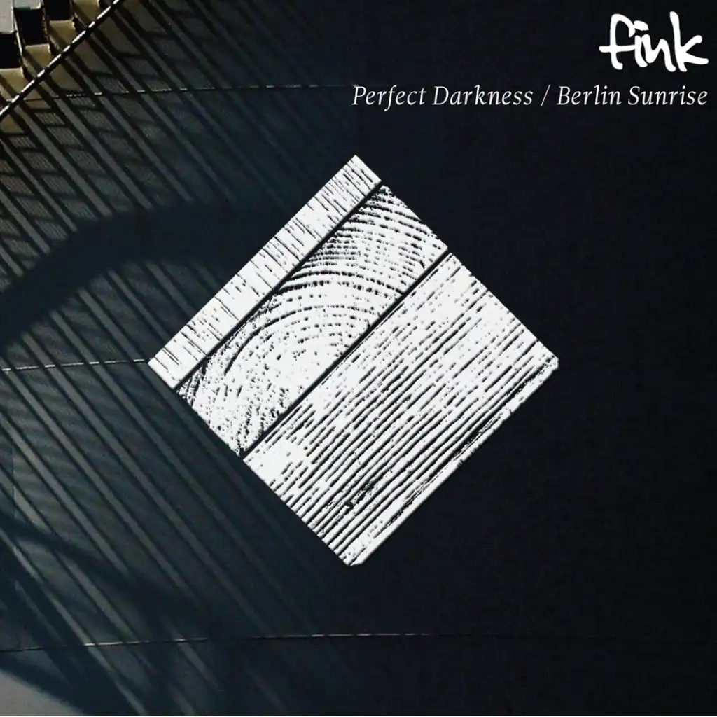 Perfect Darkness (Radio Edit)