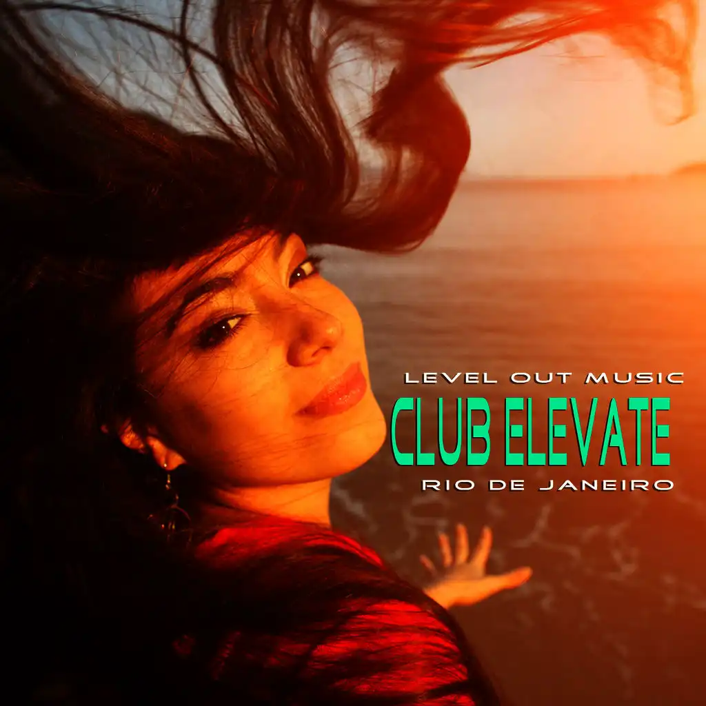 Level Out Music: Club Elevate (Rio de Janeiro)