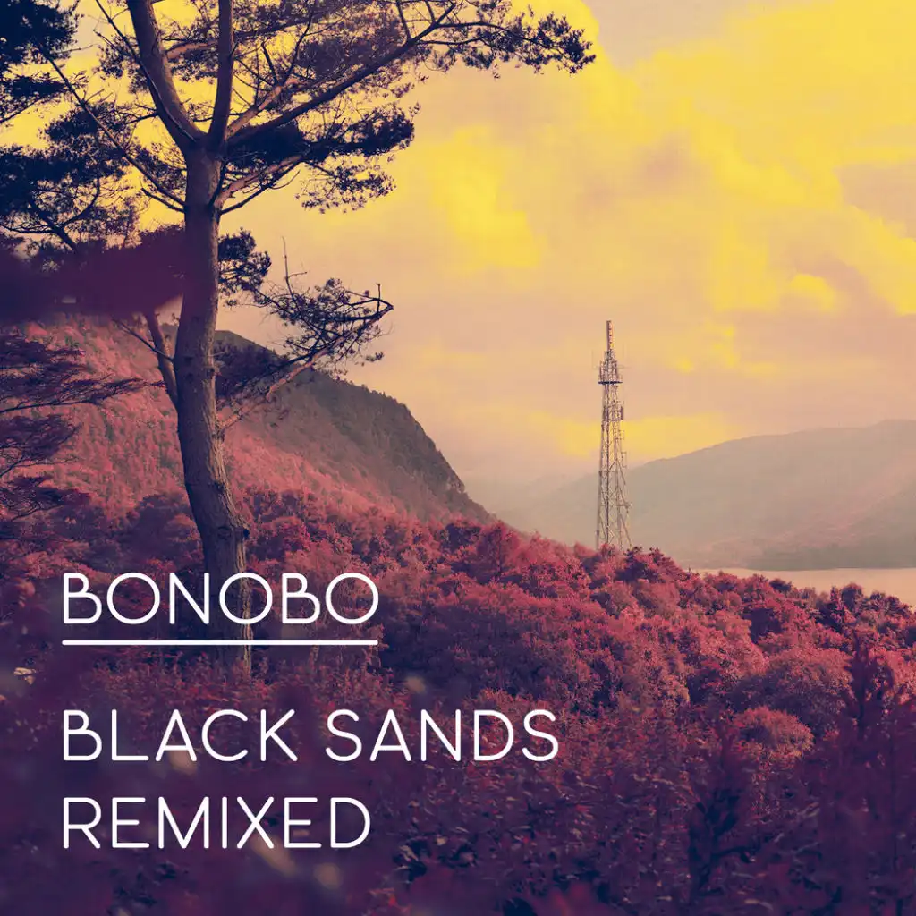 Black Sands (Duke Dumont's 'Grains Of Sand' Reconstruction Edit)