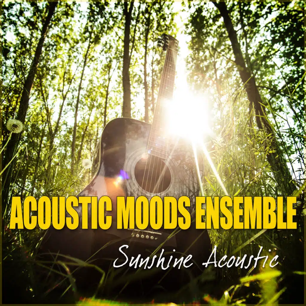 Sunshine Acoustic