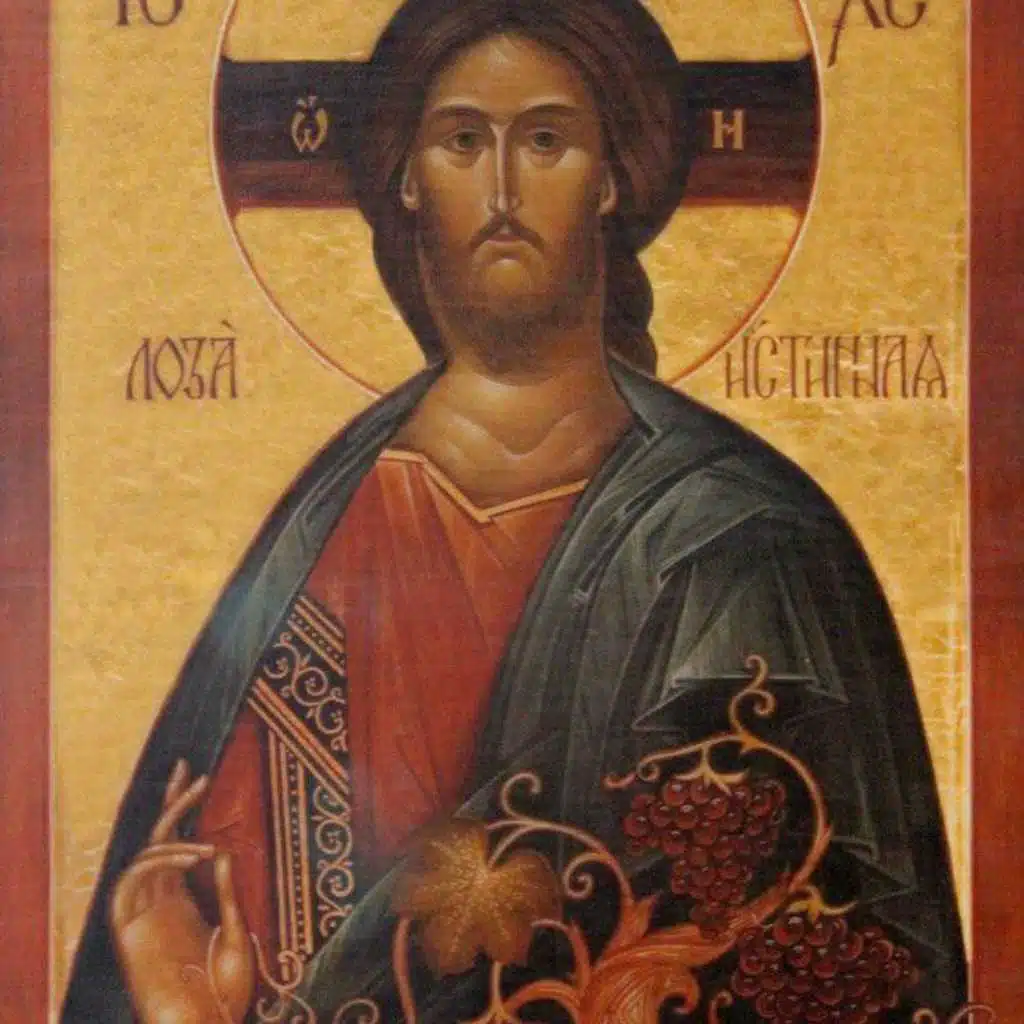 قصيدة هذه الكرمة