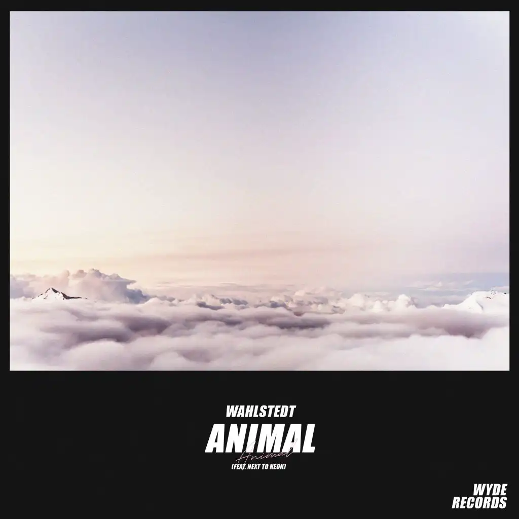 Animal (feat. Next to Neon)