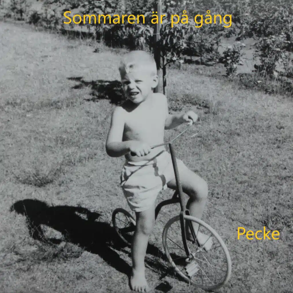 Sommaren är på gång