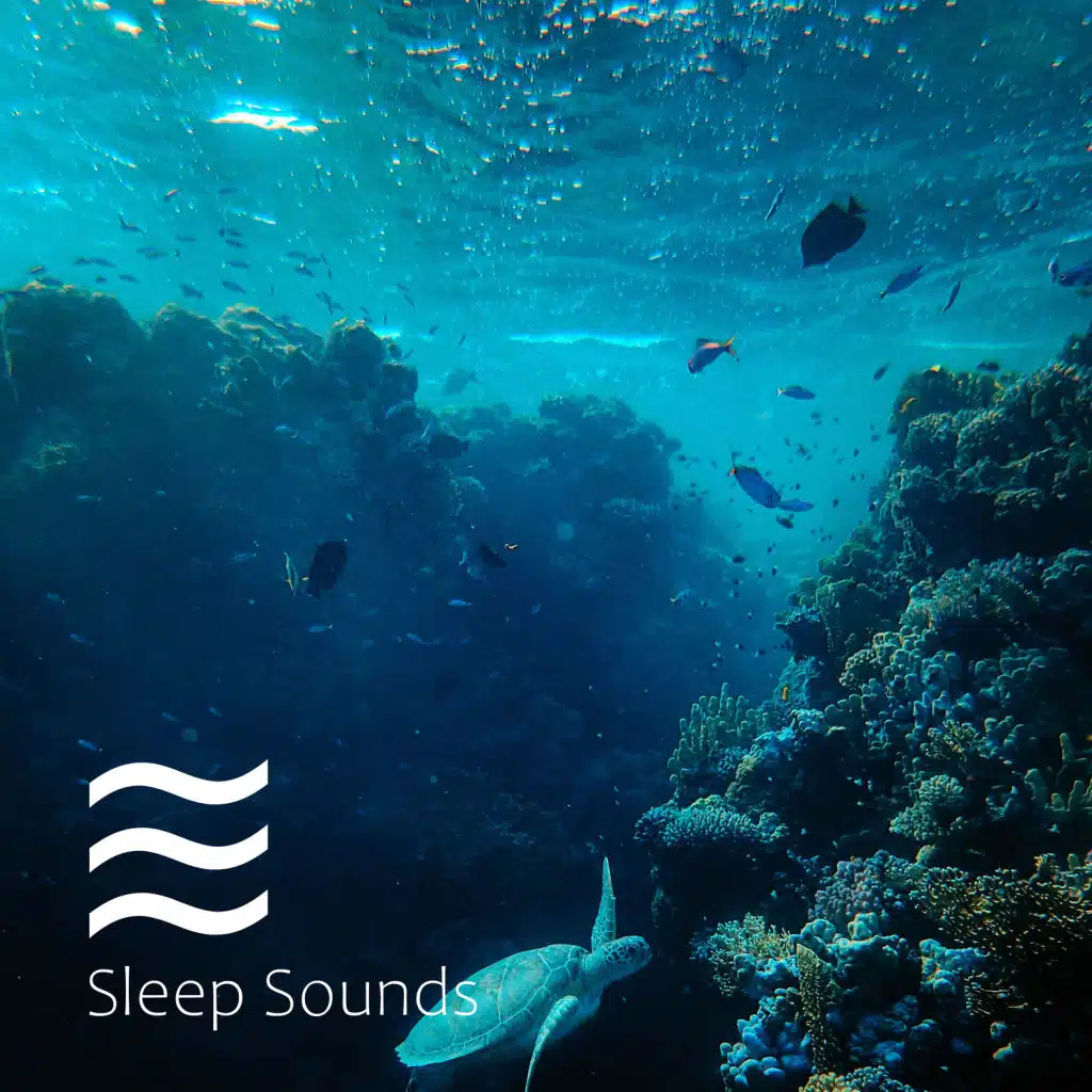 Ocean Waves & Nature Sounds for Sleep and Relax