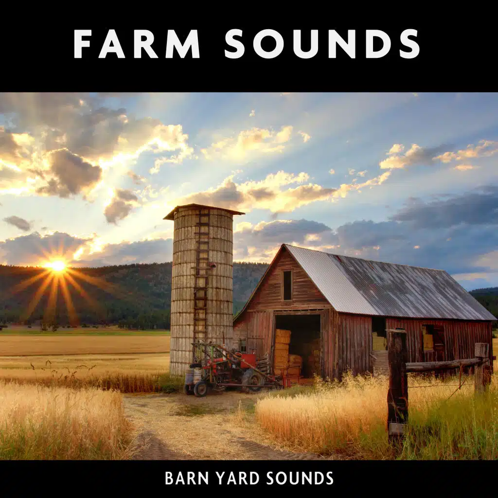 Farm Sounds & Barn Yard Sounds