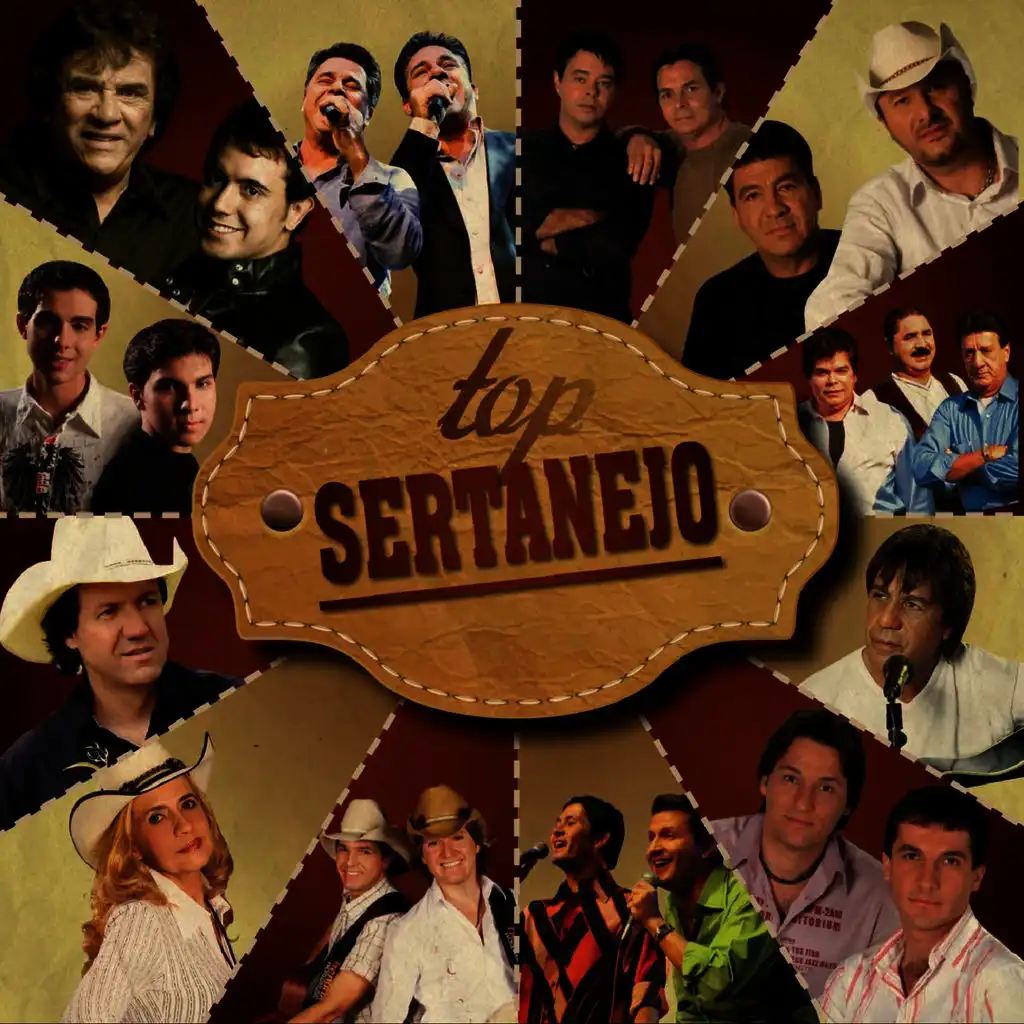 Top Sertanejo