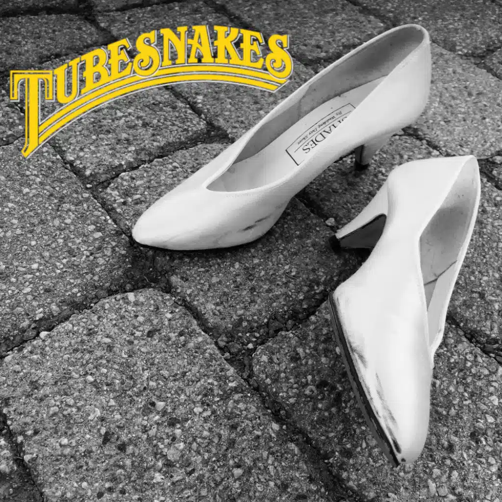 Sixpence for the shoe