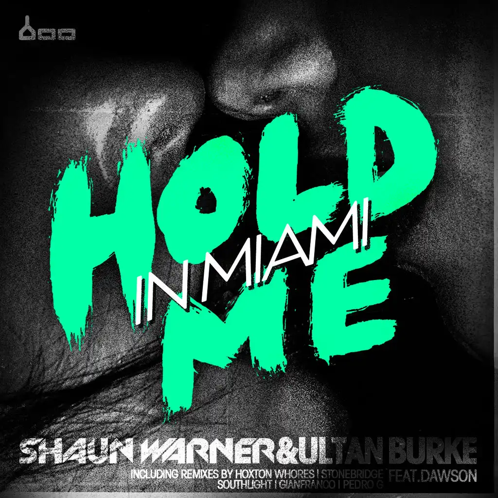Hold Me (Damian Hall Remix)