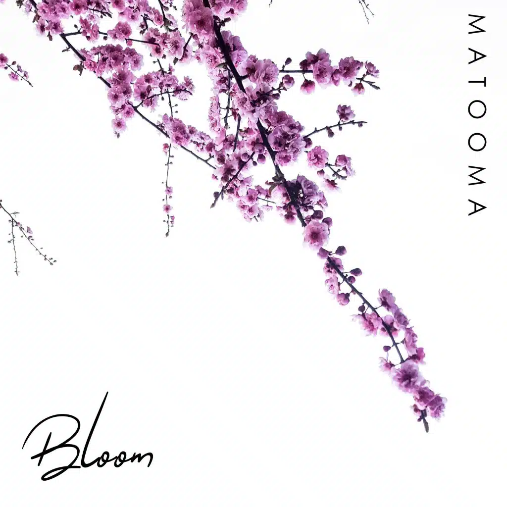 Bloom