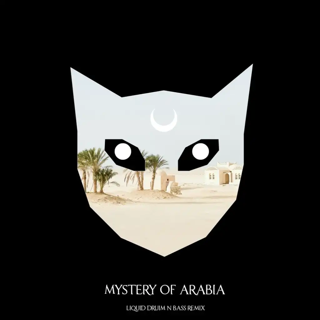 Mystery of Arabia (Liquid Drum n Bass Remix)