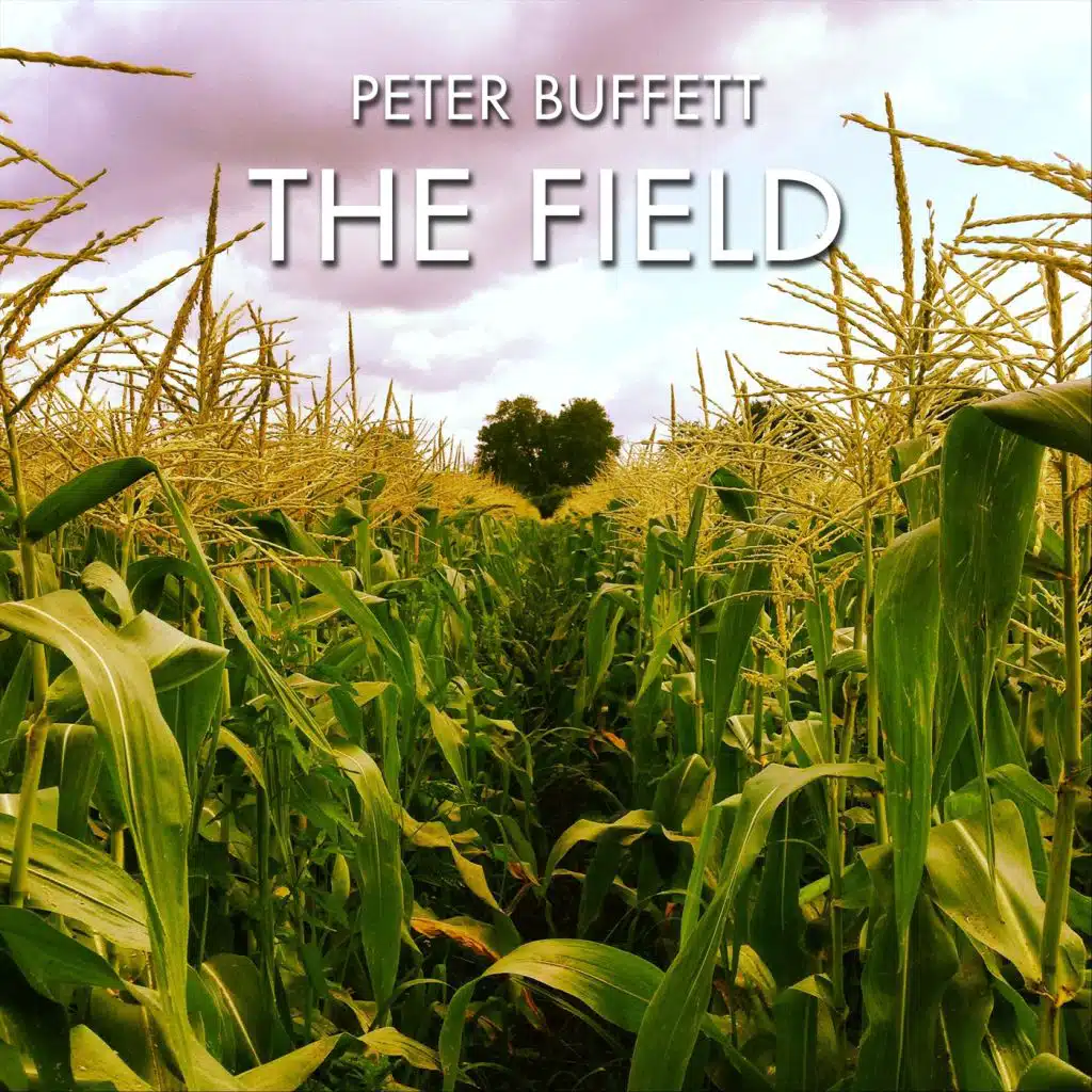 The Field