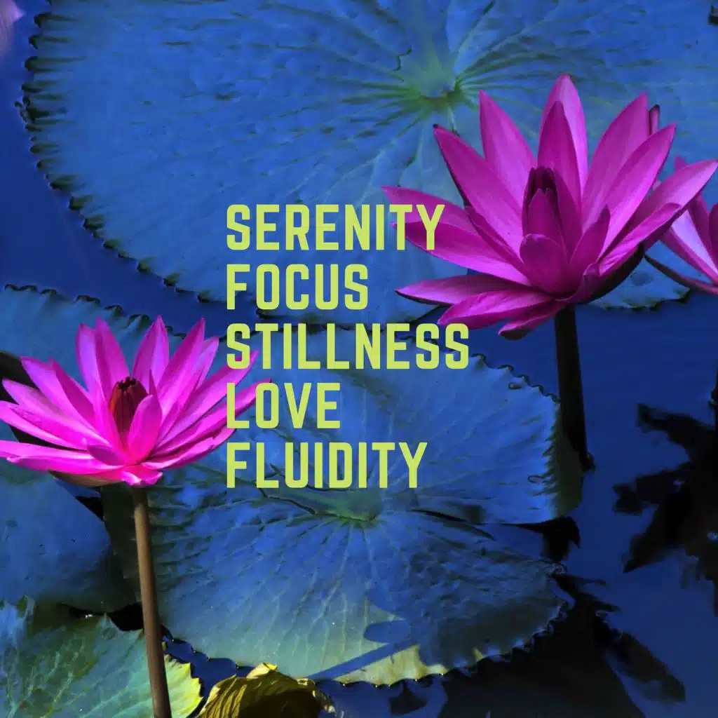 Serenity, Focus, Stillness, Love, Fluidity