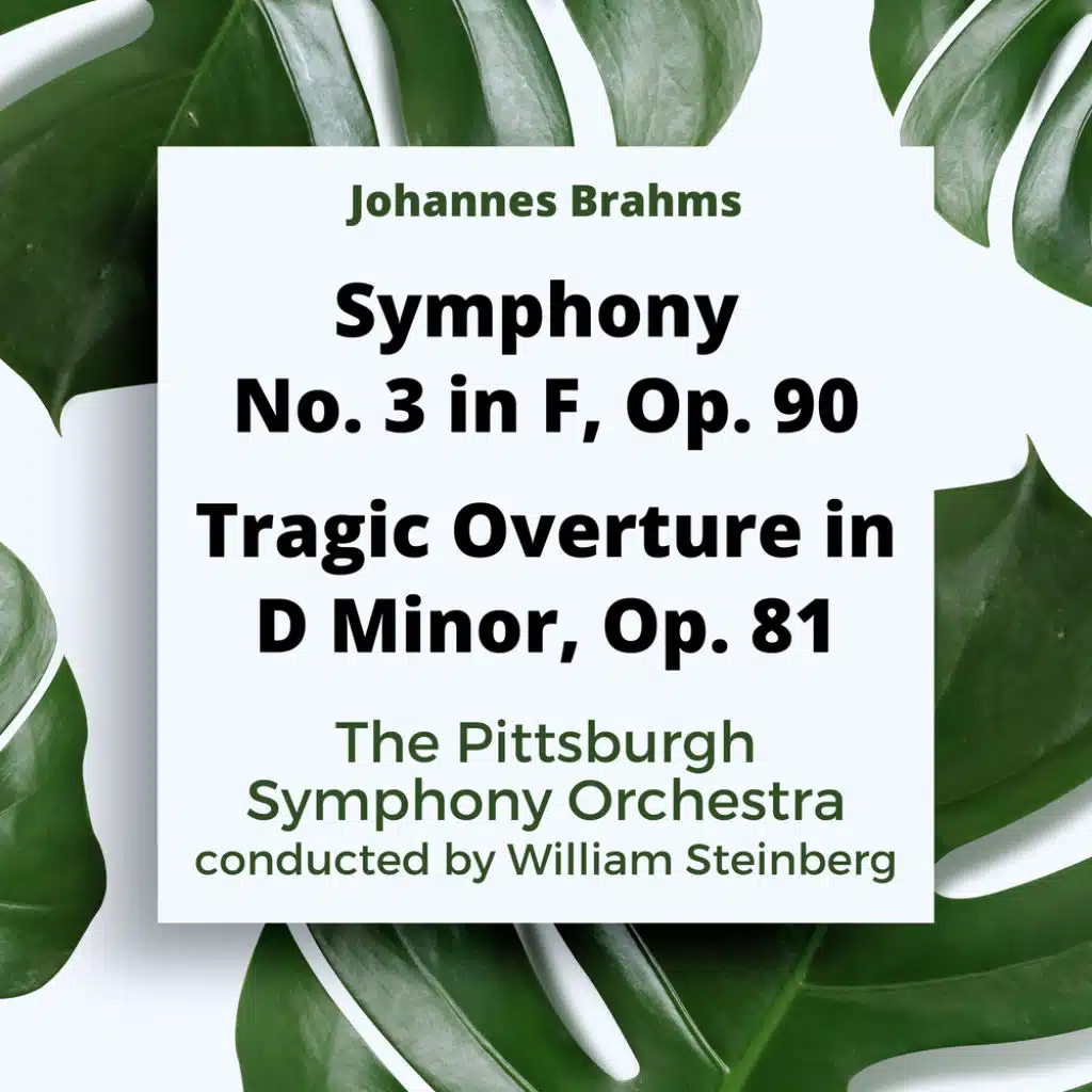 The Pittsburgh Symphony Orchestra, Johannes Brahms and William Steinburg