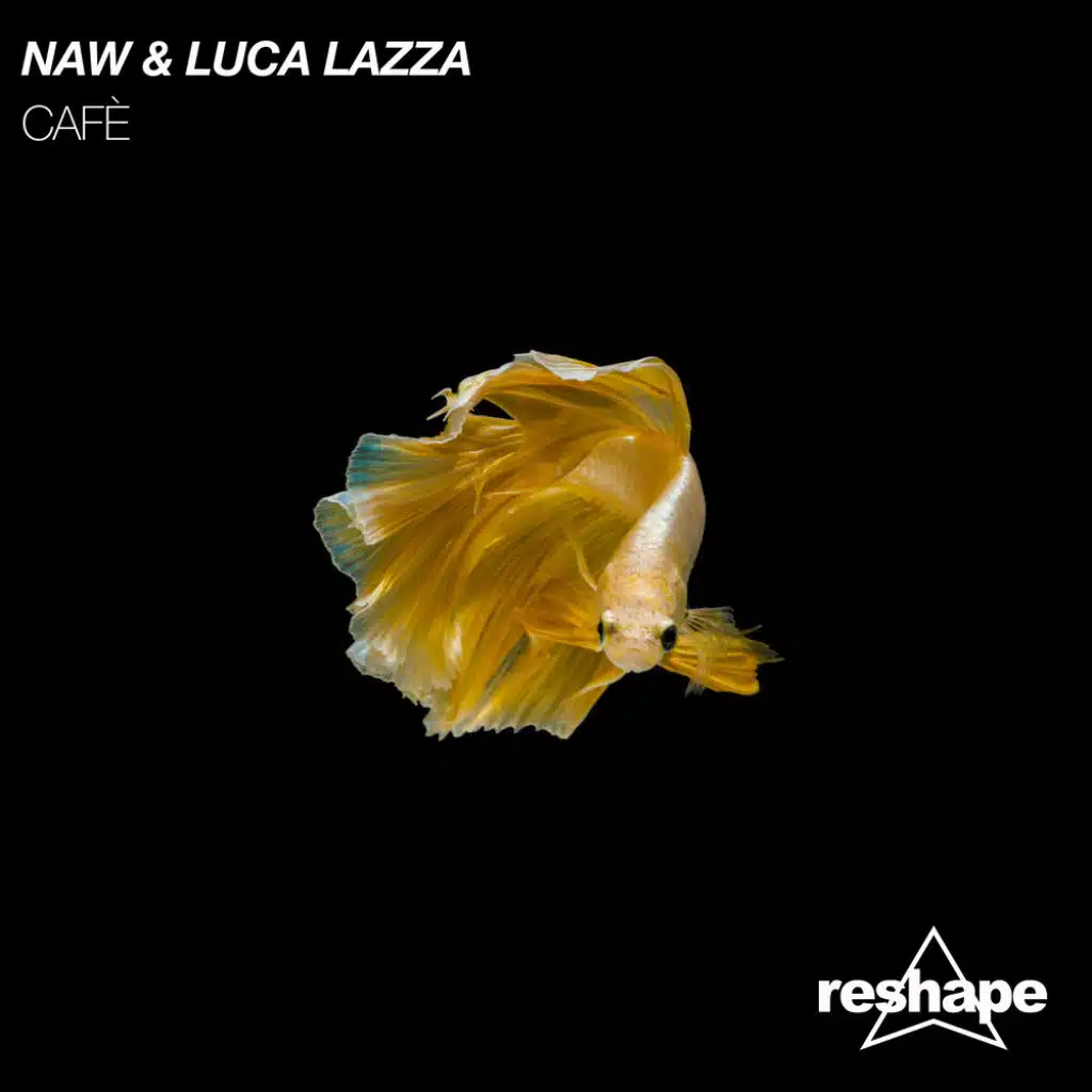 Naw & Luca Lazza