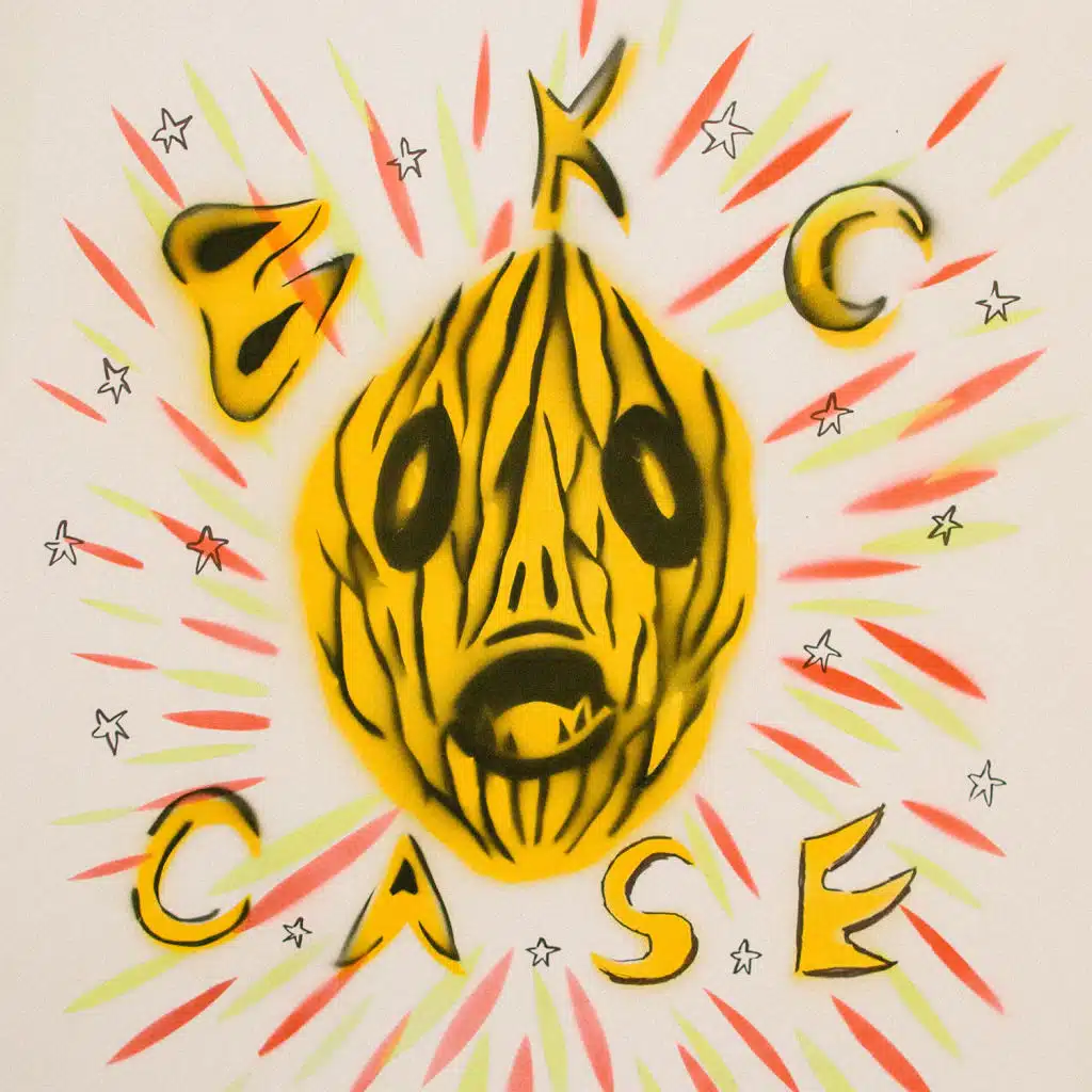 Case